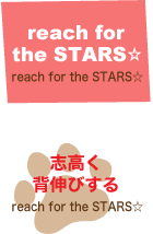 【 reach for the STARS☆ 】